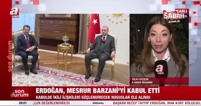 Son dakika: Başkan Erdoğan IKBY Başbakanı Mesrur Barzani’yi kabul etti | Video