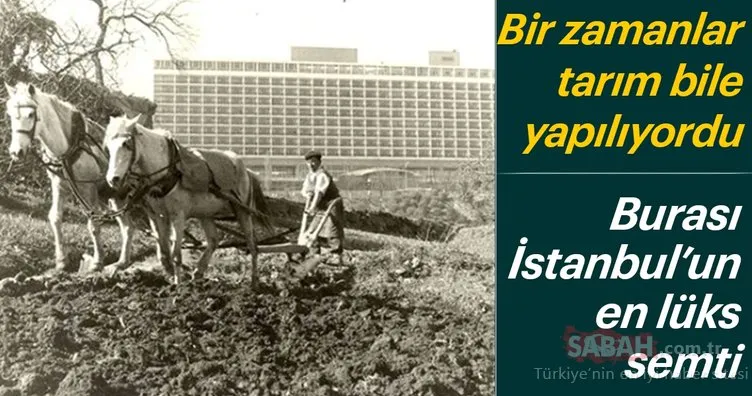 Bir zamanlar tarım yapılan bu yer şimdi İstanbul’un en lüks semtlerinden