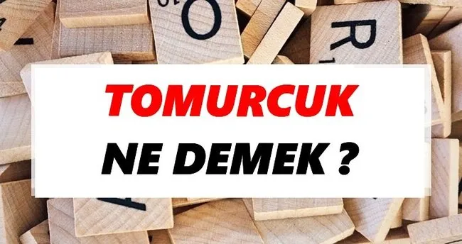 Tomurcuk Ne Demek? TDK’ya Göre Tomurcuk Sözlük Anlamı Nedir?