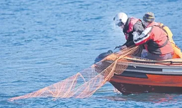 Yelkovan kuşlarının peşi sıra