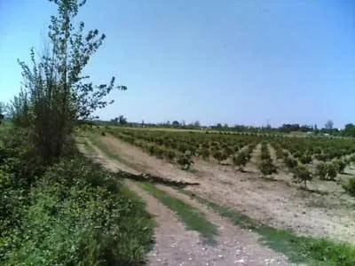 2-B arazileri ne olacak?