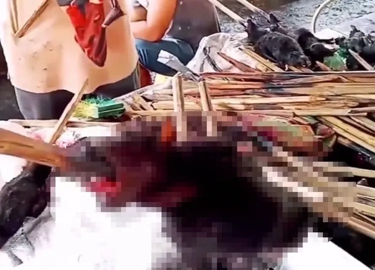 Son dakika haberi: Çinliler koronavirüs salgınına rağmen değişmedi! Yasağa rağmen vahşi hayvan tüketmeye devam ediyorlar