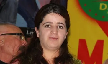 Van’da HDP’li belediye başkanı gözaltına alındı