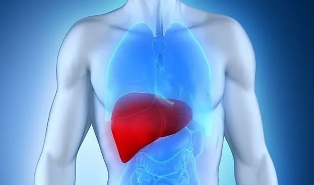 Karaciğer yağlanması olanlar için ciddi problem…