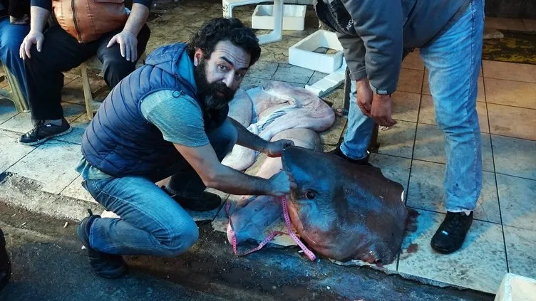 Akdeniz’in en büyük köpek balığı yakalandı