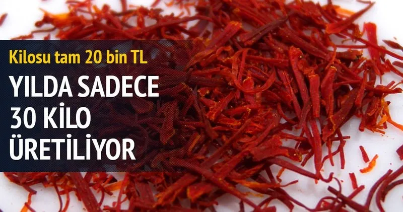 kilosu 20 bin tl