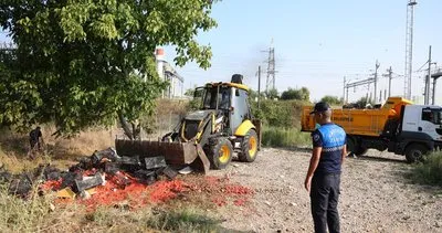 Bu domatesleri kim neden döktü! Soruşturma başlatıldı #kocaeli