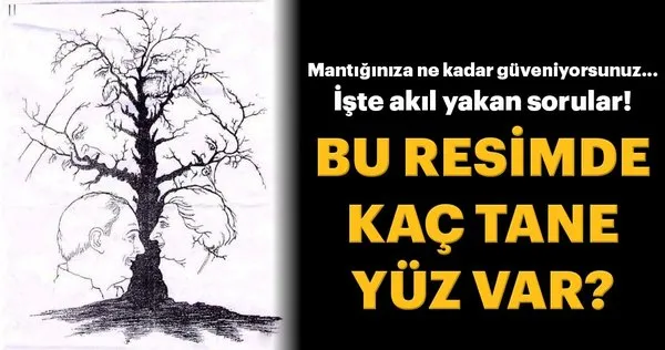 Matematiğinize ve mantığınıza ne kadar güveniyorsunuz? İşte akıl yakan sorular