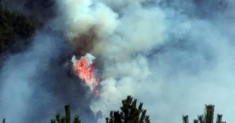 Orman yangını 20 saatte kontrol altına alındı