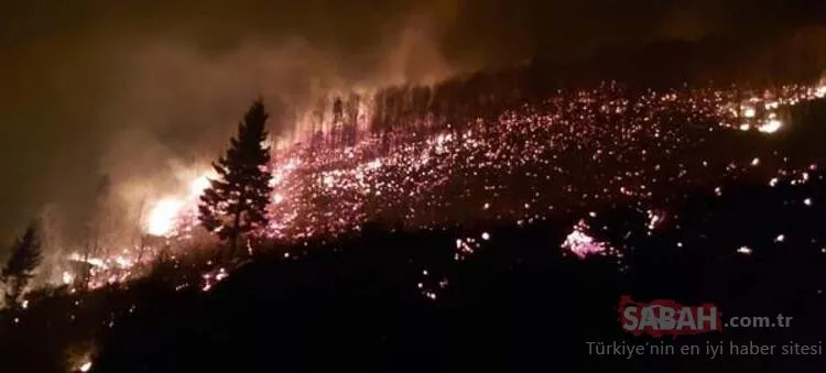 Karadeniz’de 26 noktada orman yangını: 5 ev kül oldu, tarım arazileri zarar gördü