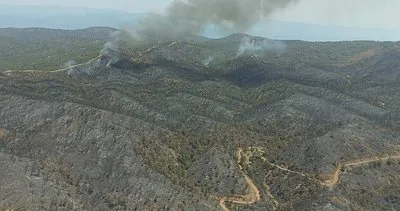Marmaris Yangını son dakika haberleri: 23 Haziran Marmaris Orman Yangını söndürüldü mü, son durum nedir?