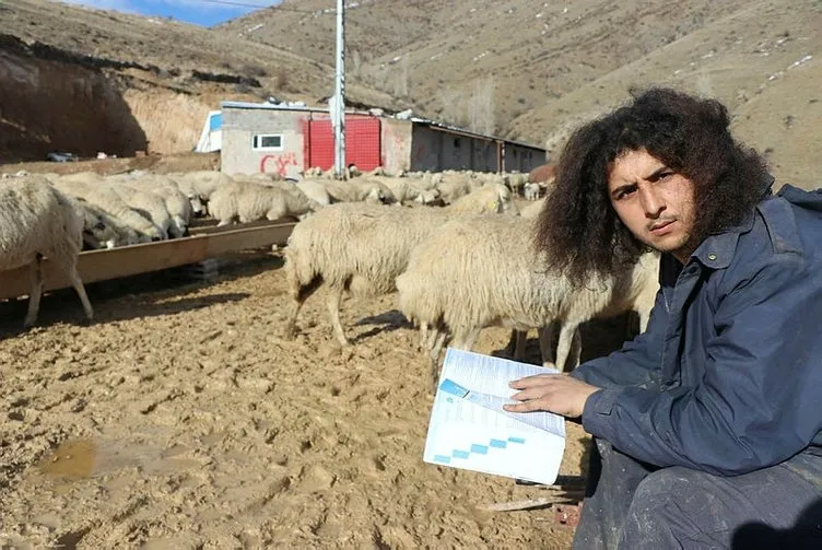 Üniversite mezunu genç, 300 koyuna çobanlık yapıyor