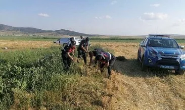 Eskişehir’de drone destekli uyuşturucu operasyonunda 2 bin kök Hint keneviri ele geçirildi