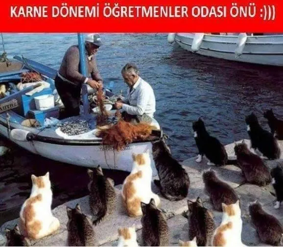 E-Okul'a bakarken babam: Karne capsleri sosyal medyayı sallıyor