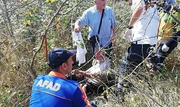 Kuşburnu toplamaya çıkan yaşlı adam çalıların arasında bulundu #duzce Kuşburnu toplamaya çıkan yaşlı adam çalıların arasında bulundu #duzce