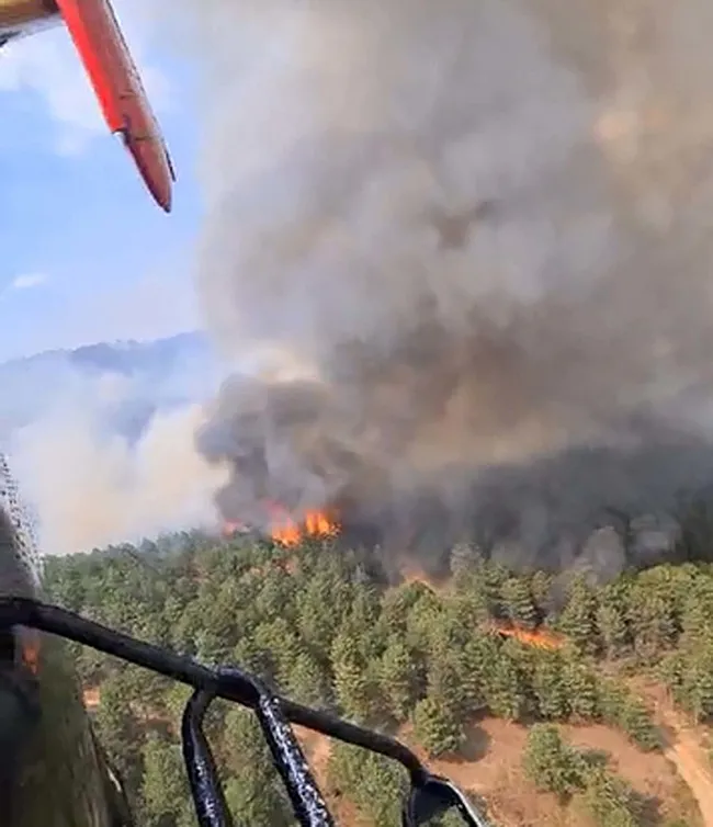 usakta-orman-yangini-ekipler-havadan-ve-karadan-mudahale-ediyor-1753023217167.jpeg