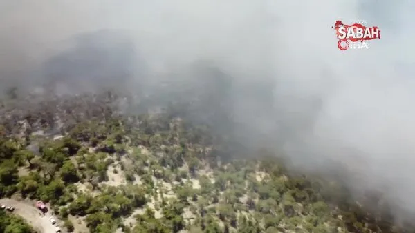 Bolu'da yangına havadan ve karadan müdahale sürüyor: 50 hektarlık alan küle döndü | Video