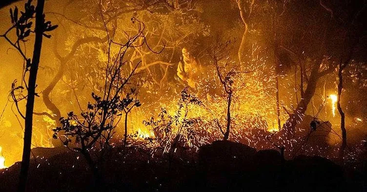 Brezilya’da milli parkta yangın
