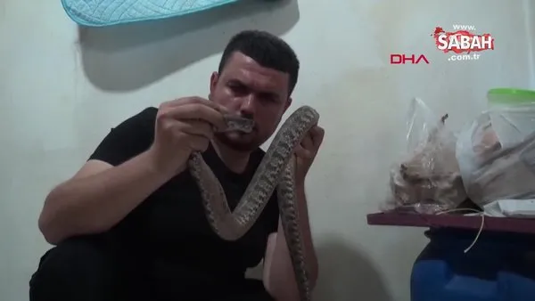 Eve giren ölümcül yılanı elleriyle yakalayıp, doğaya saldı | Video