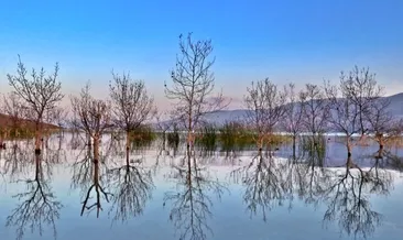 https www sabah com tr bebegimvebiz hamilelik 2017 08 15 cati muayenesi sart mi