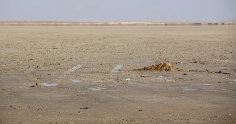 Kuş Cenneti Seyfe Gölü çöle döndü!