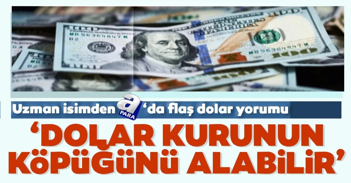uzman isimden flas dolar yorumu