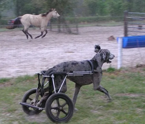 Dünya Gündeminden Başlıklar 24/09/2009
