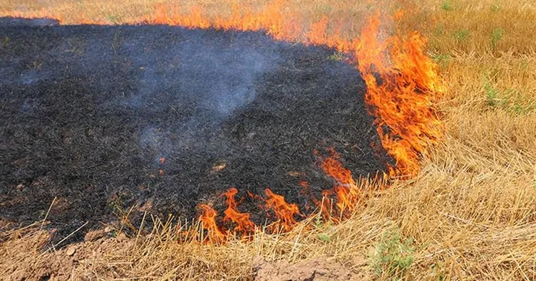 TZOB Başkanı Bayraktar’dan ’anız’ uyarısı