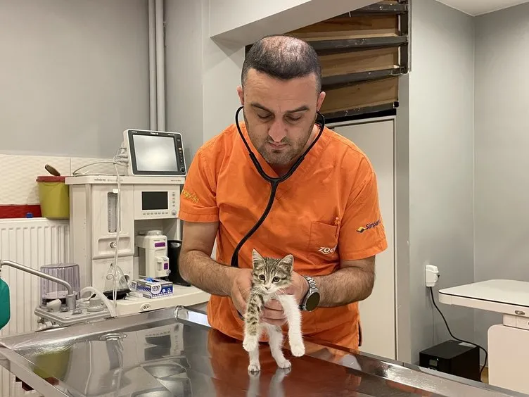Eskişehir’de esrarengiz olay! Bu kedi gıdaklıyor: Sebebi şoke etti!
