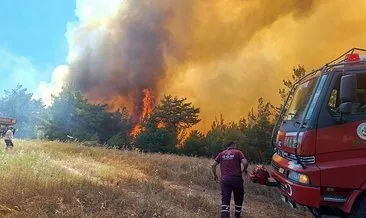 Sakarya Taraklı'da orman yangını! 2 mahalle tahliye edildi: Arazöz alevlere teslim oldu! #sakarya