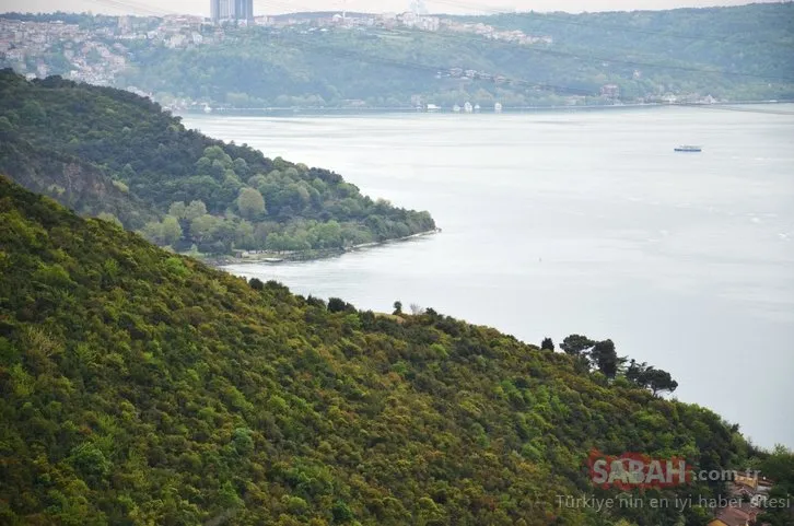 Beykoz Piknik Alanları 2023 - İstanbul Beykoz’da Gidilecek Piknik Yerleri ve Mesire Alanları