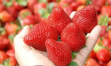 En kirli ve en temiz yiyecekler açıklandı!