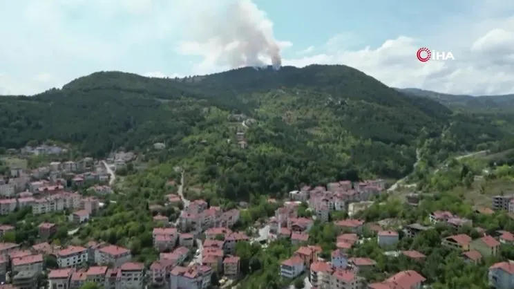 Zonguldak'ta orman yangını