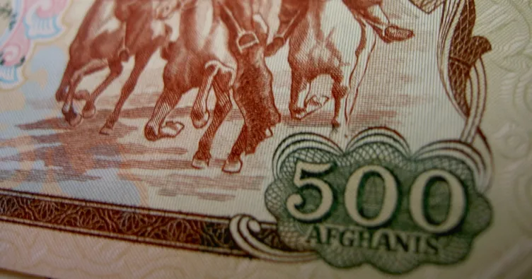 Afganistan Merkez Bankası, ekonomik işlemlerde yerel para biriminin kullanılmasını istedi