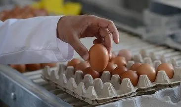 İngilizlerin yumurta krizinde yeni perde: Bu sadece başlangıç!