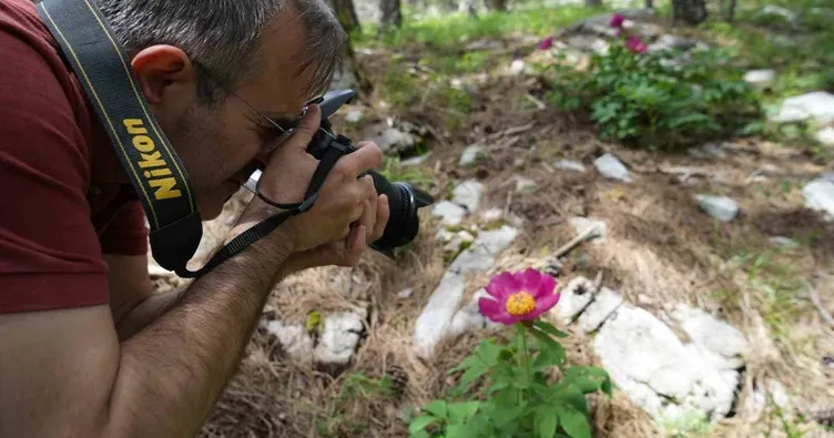 Yılda 10 gün açıyor koparanı yakıyor