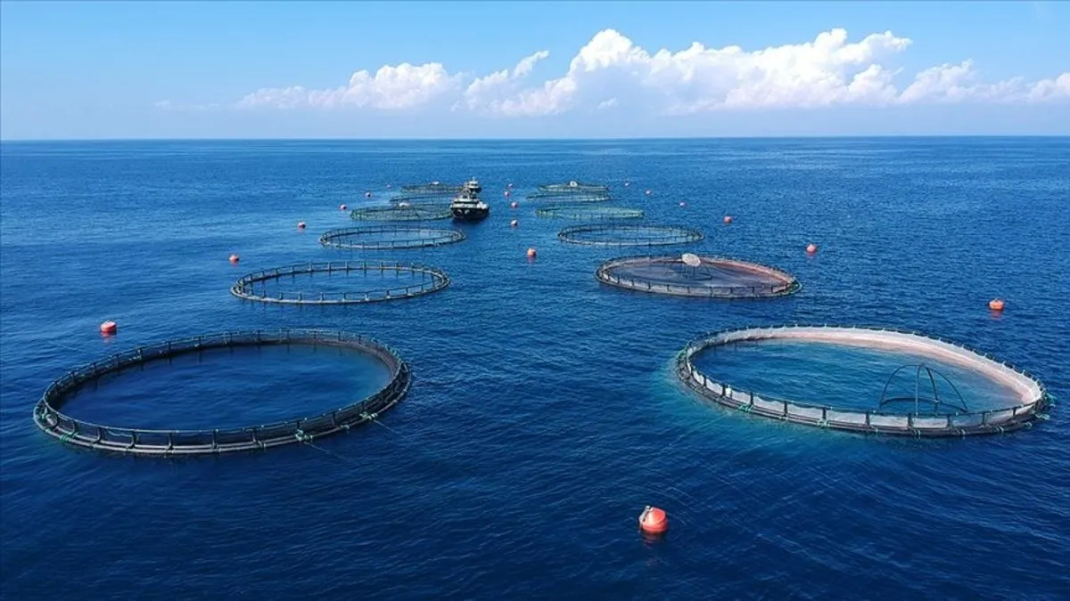 Yasa dışı su ürünleri avcılığına geçit verilmiyor Yasa dışı su ürünleri avcılığına geçit verilmiyor