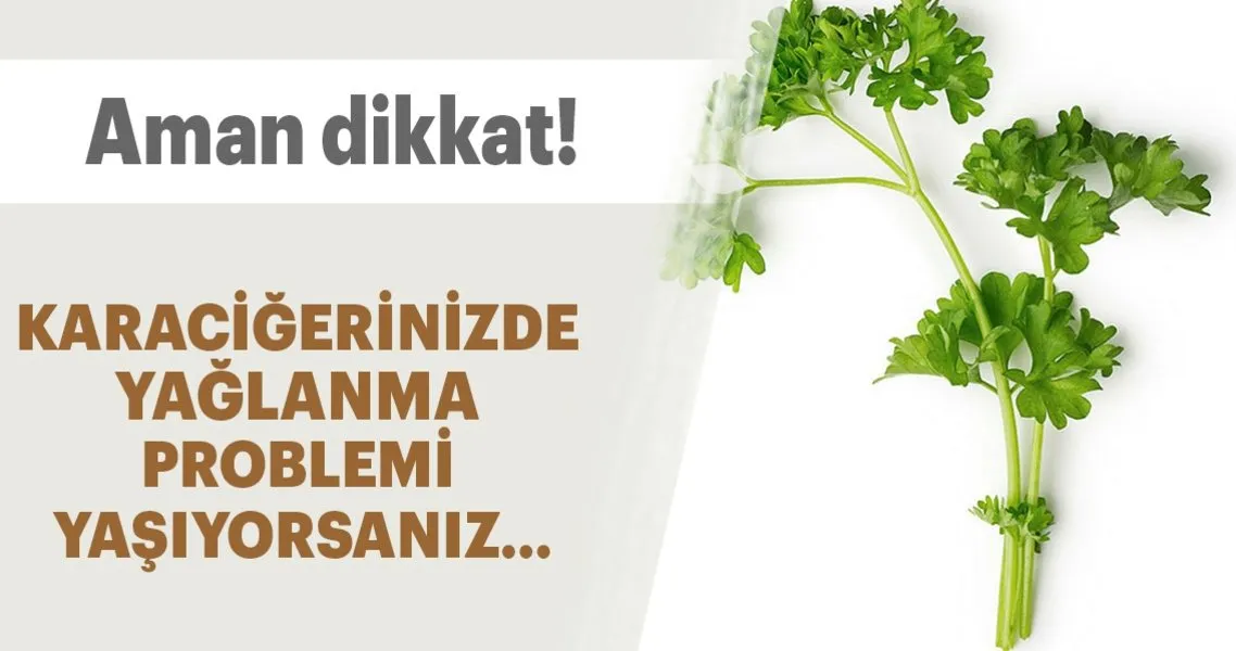 Karaciger Yaglanmasina Maydanoz Kuru Saglik Haberleri
