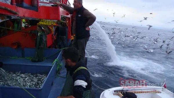 Hamsinin en tazesini onlar yiyor