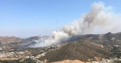 Aydın’da orman yangını çıktı