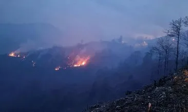 Trabzon Of’ta korkutan yangın: Ekipler çalışma başlattı
