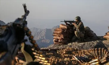 5 PKK/YPG’li teröristi etkisiz hâle getirildi