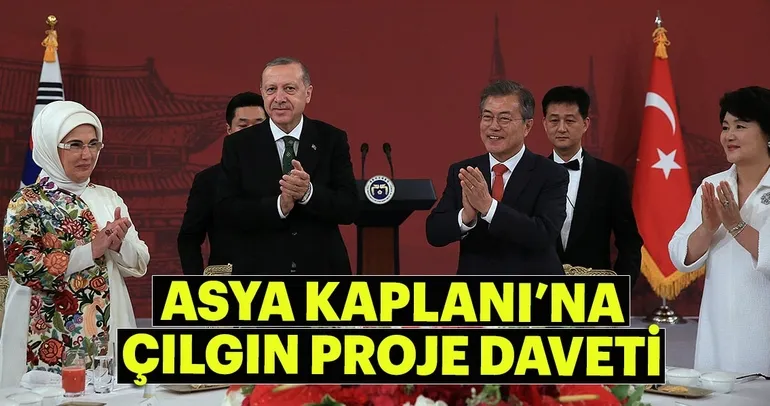 Asya Kaplanı’na çılgın proje daveti