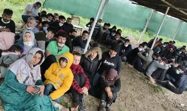 Son dakika! MSB: Yunanistan’ın ölüme terk ettiği 81 göçmen Meriç’te kurtarıldı