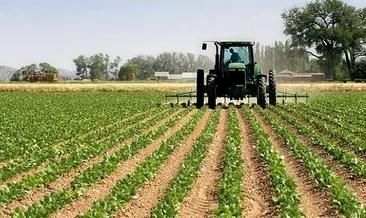 Bakandan üreticilere müjdeli haber!