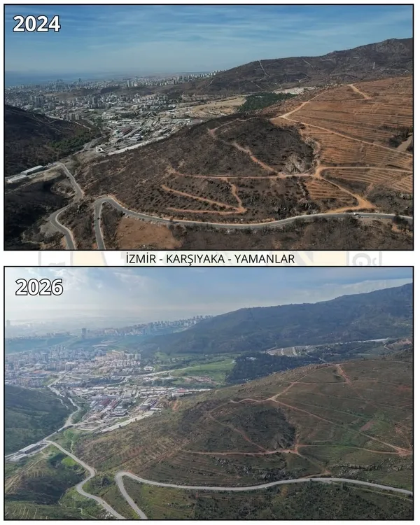 izmirde-yaralar-sariliyor-milyonlarca-fidan-toprakla-bulustu-1783412633388.jpg
