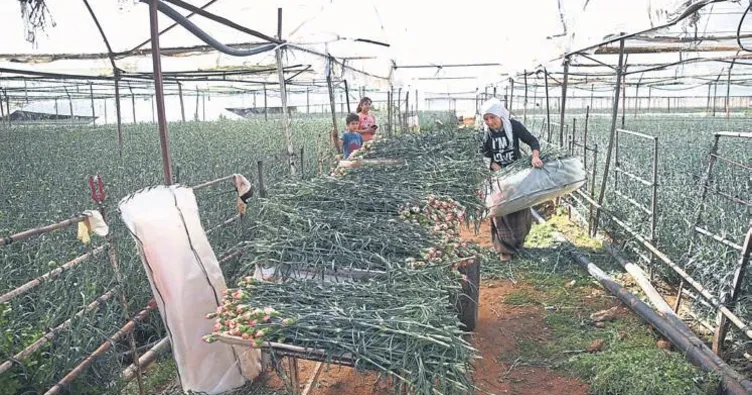 Çiçekten ekmek yiyorlar
