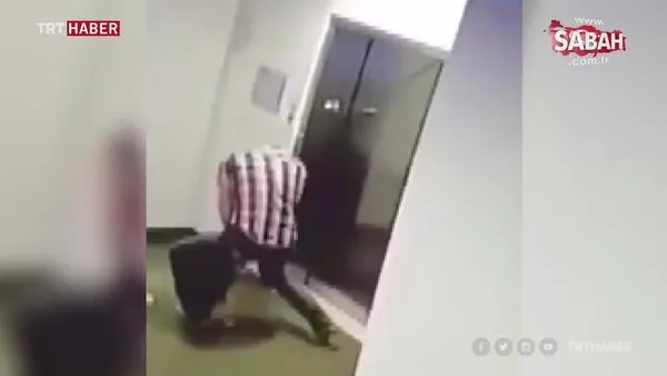 Tasması asansör kapısına sıkışan köpeği böyle kurtardı