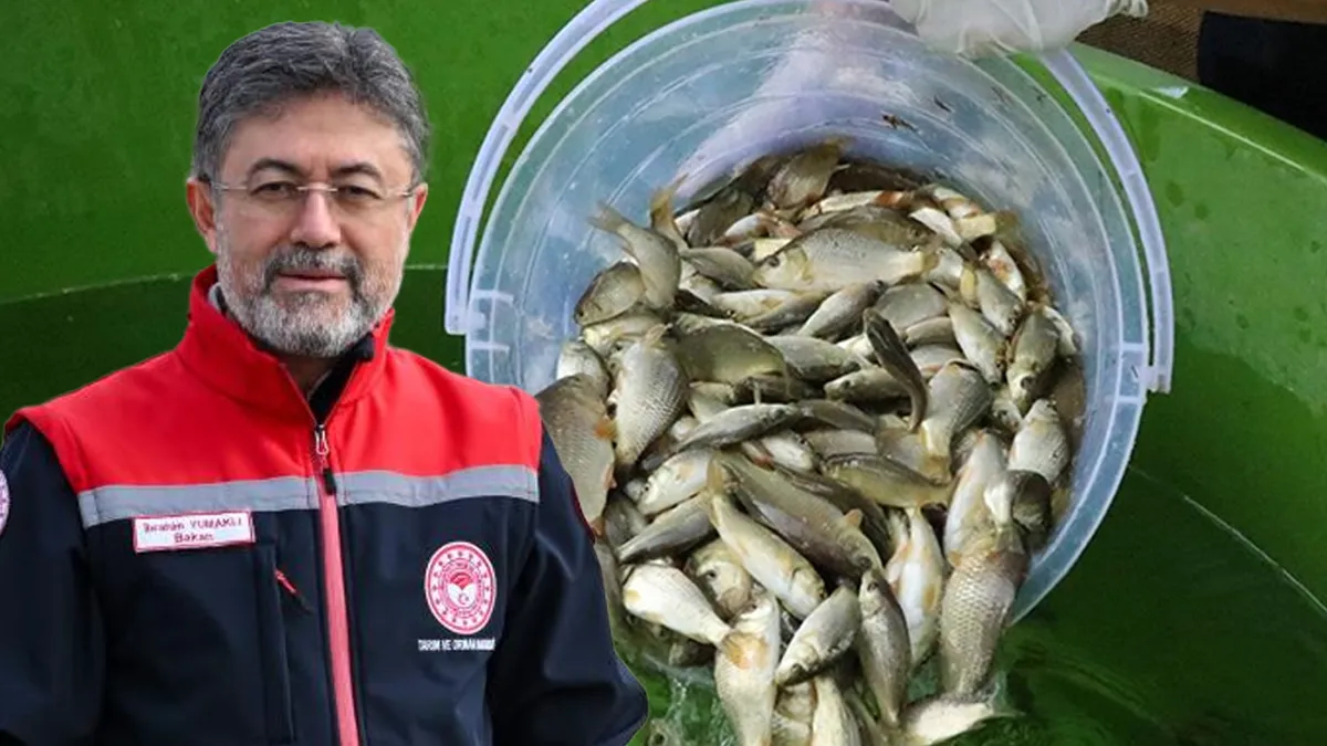 Balık üretiminde cumhuriyet tarihi rekoru kırıldı Balık üretiminde cumhuriyet tarihi rekoru kırıldı