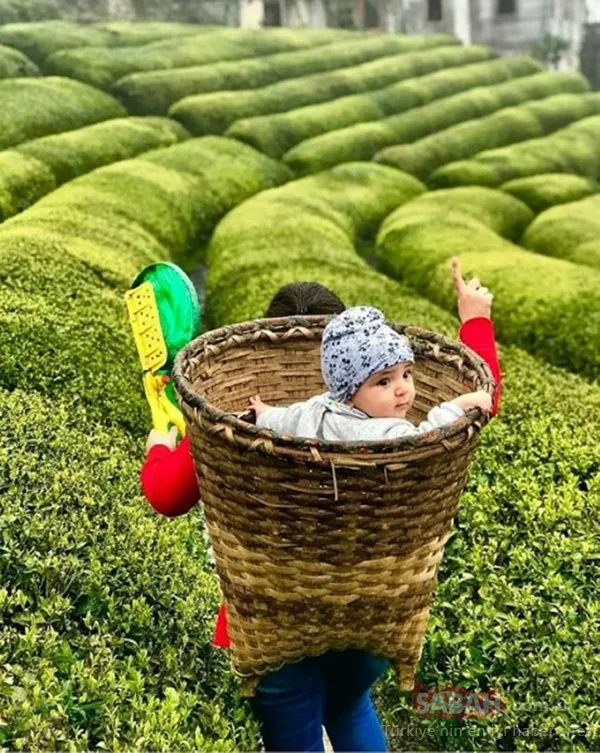 Yer: Rize! Herkes orada fotoğraf çektiriyor